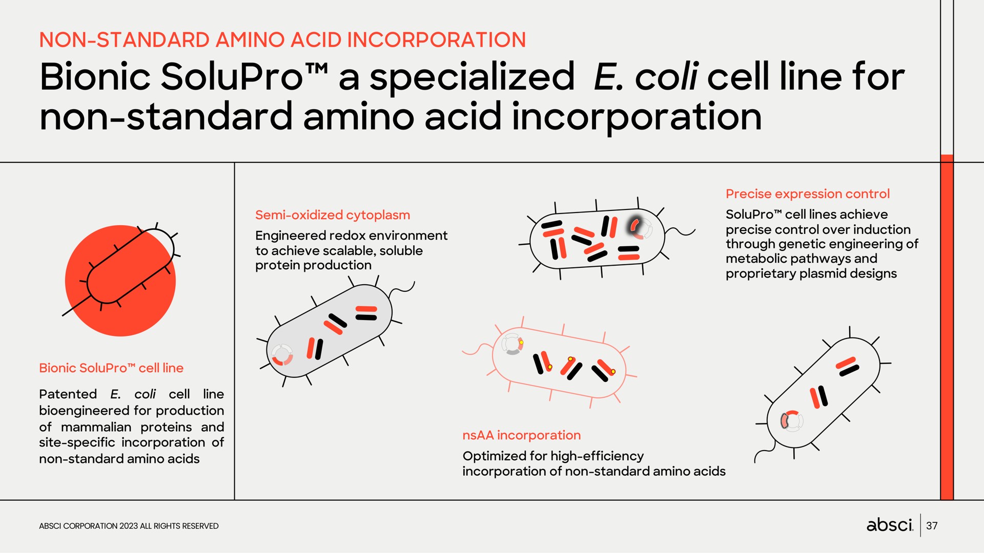 a specialized coli cell line for non standard amino acid incorporation | Absci