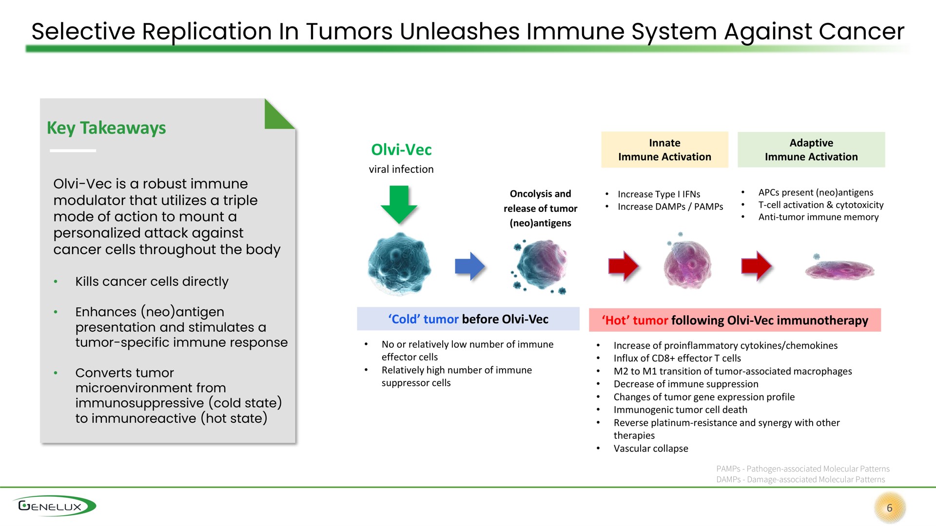 selective replication in tumors unleashes immune system against cancer | Genelux