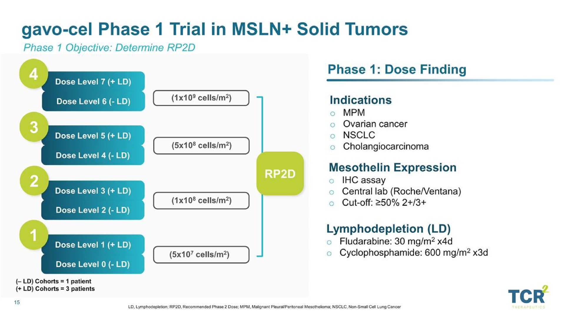 phase trial in solid tumors | TCR2 Therapeutics