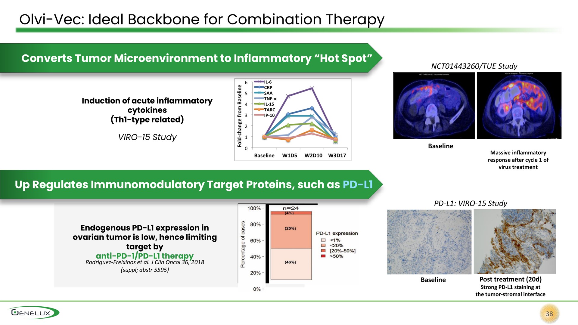 ideal backbone for combination therapy converts tumor to inflammatory hot spot bene | Genelux