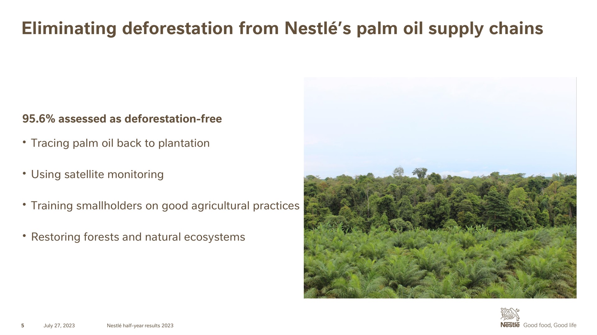 eliminating deforestation from palm oil supply chains | Nestle