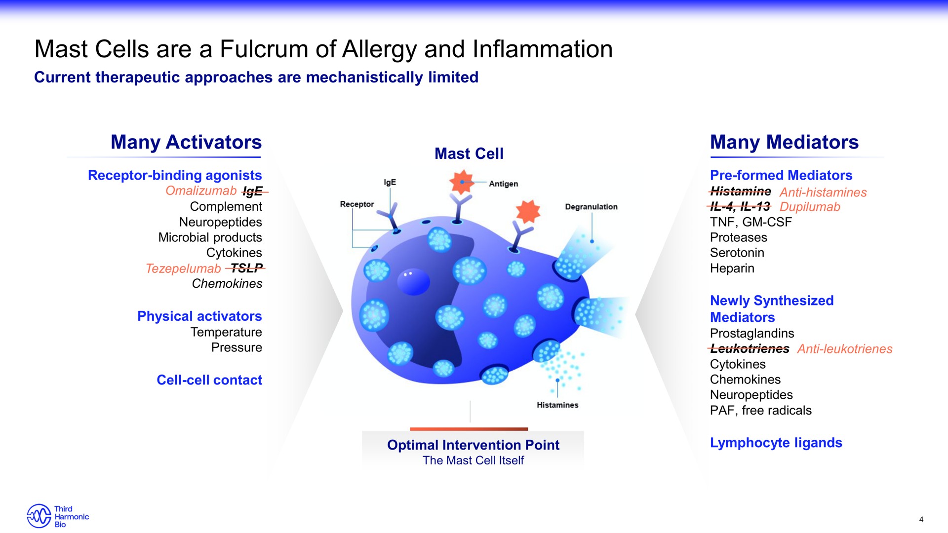 mast cells are a fulcrum of allergy and inflammation | Third Harmonic Bio
