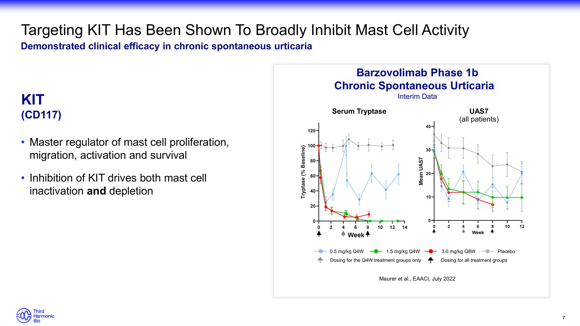 targeting kit has been shown to broadly inhibit mast cell activity kit hin | Third Harmonic Bio