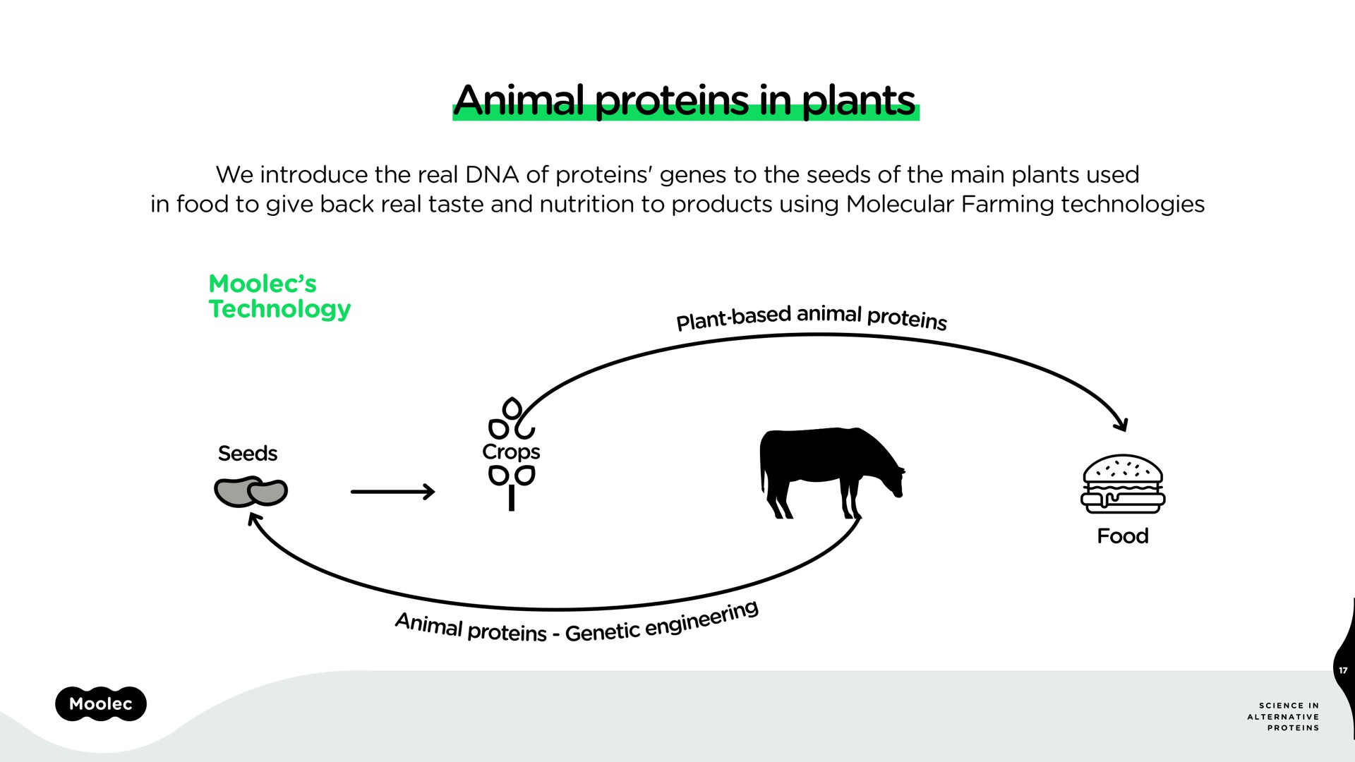 animal proteins in plants | Moolec Science