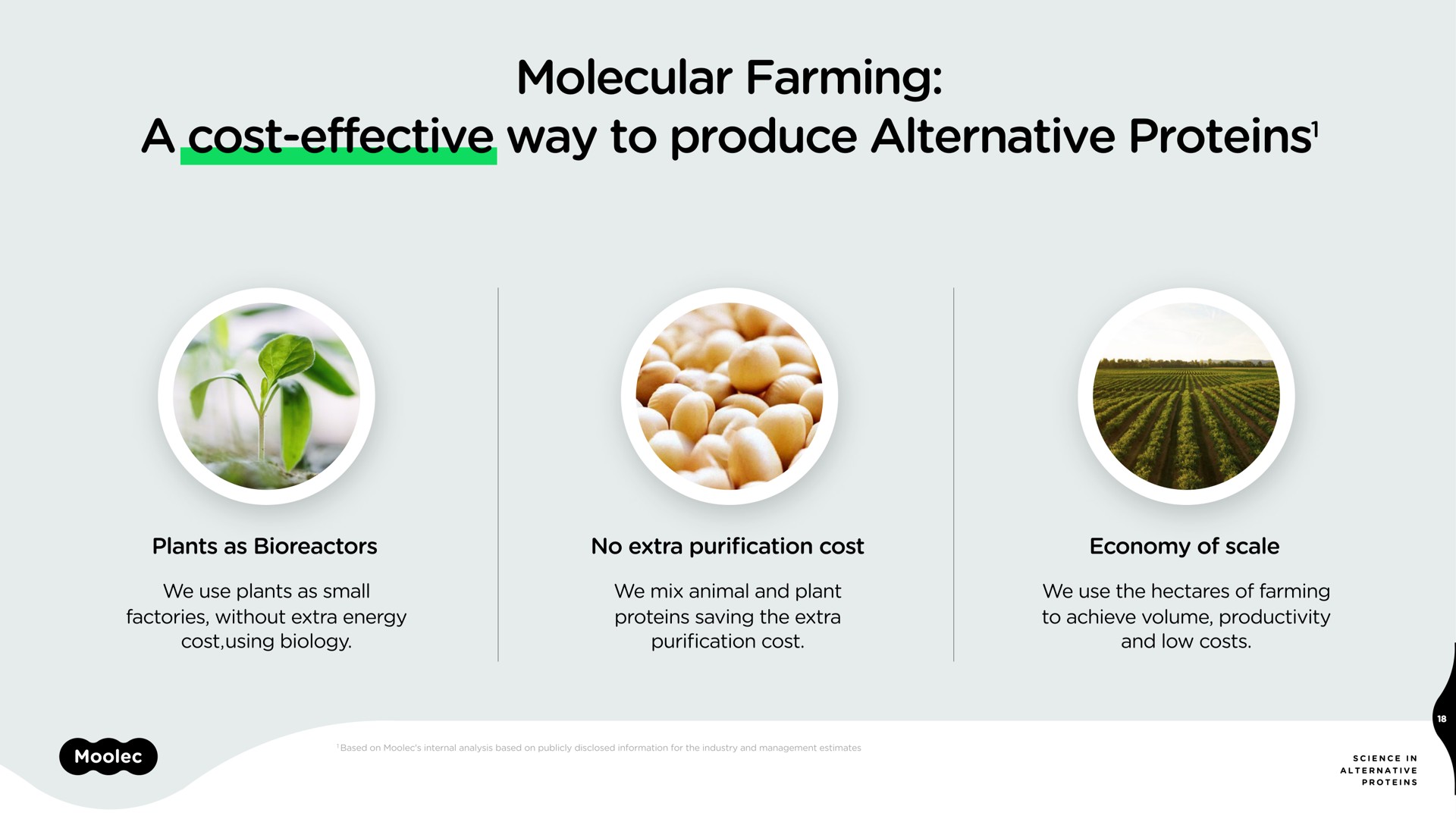 molecular farming a cost effective way to produce alternative proteins proteins | Moolec Science