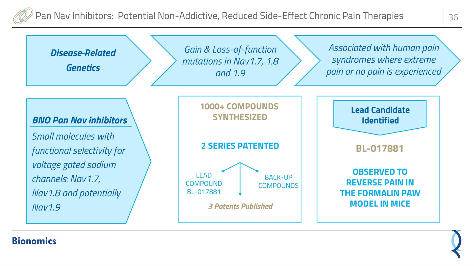 pan inhibitors potential non reduced side effect chronic pain therapies disease related genetics gain loss of function mutations in and associated with human pain syndromes where extreme pain or no pain is experienced pan inhibitors small molecules with functional selectivity for voltage gated sodium channels and potentially compounds synthesized series patented lead candidate identified observed to reverse pain in the paw model in mice back up | Bionomics