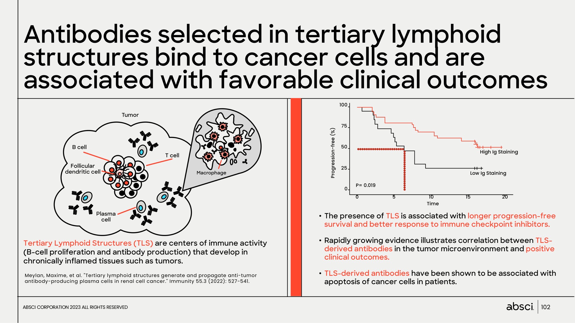antibodies selected in tertiary lymphoid structures bind to cancer cells and are associated with favorable clinical outcomes earn go of | Absci