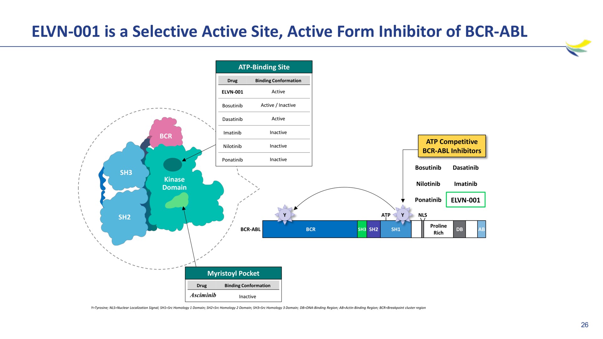 is a selective active site active form inhibitor of | Imara