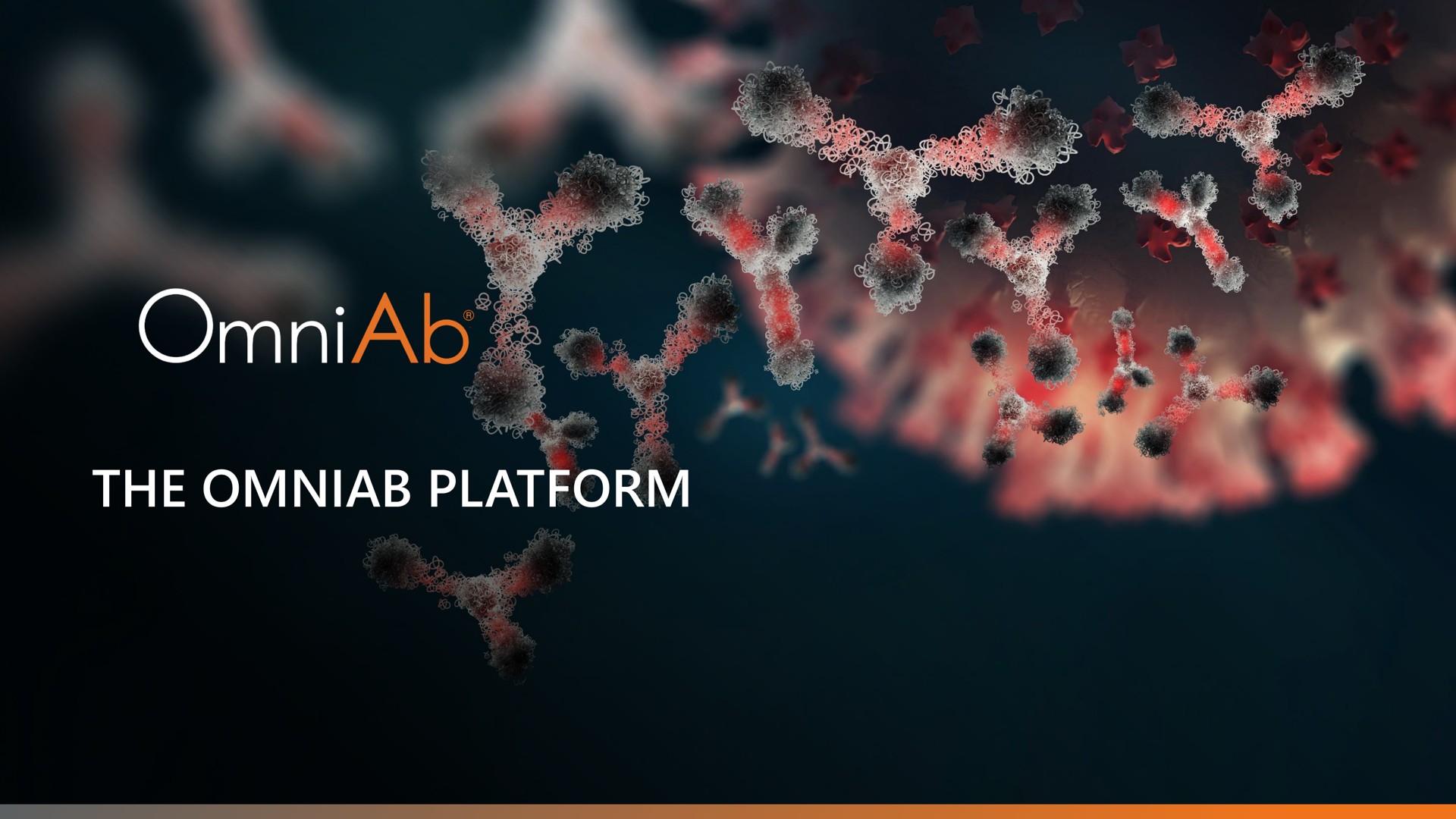 the platform | OmniAb