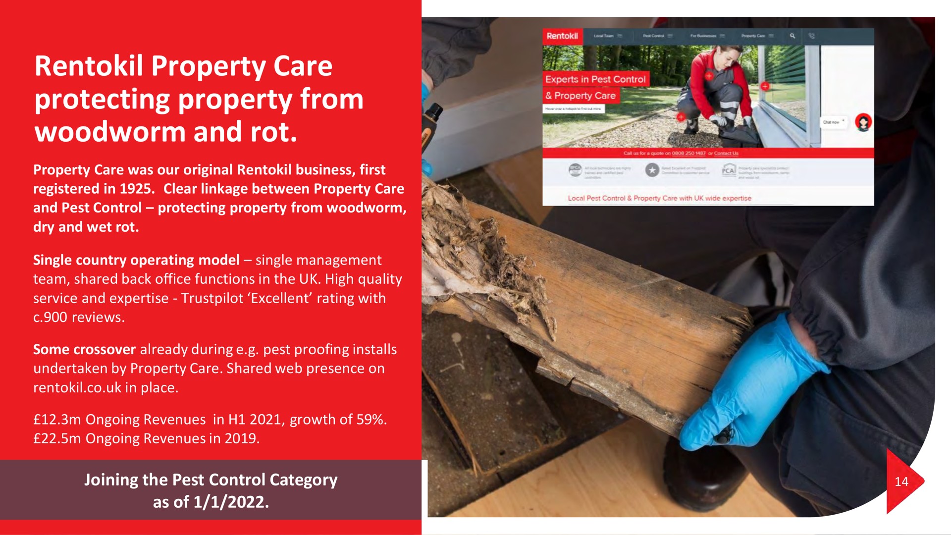 property care protecting property from woodworm and rot joining the pest control category as of i | Rentokil Initial