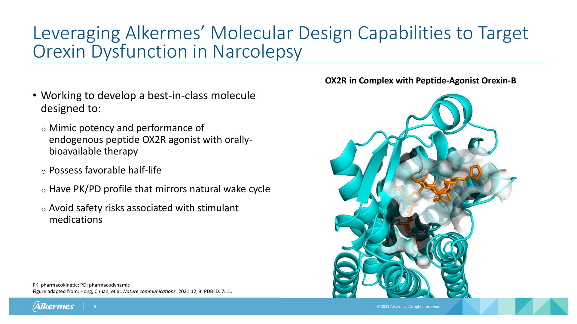 leveraging alkermes molecular design capabilities to target dysfunction in narcolepsy in complex with peptide agonist working to develop a best in class molecule designed to mimic potency and performance of endogenous peptide agonist with orally therapy possess favorable half life have profile that mirrors natural wake cycle avoid safety risks associated with stimulant medications pharmacodynamic figure adapted from hong nature communications | Alkermes