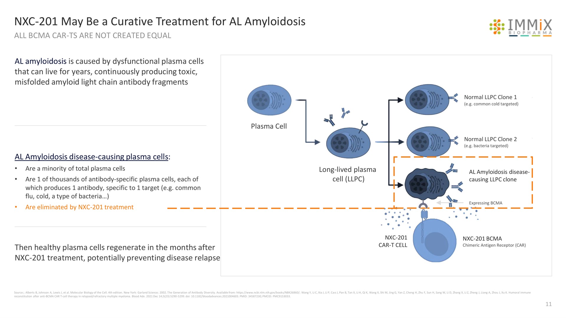 may be a curative treatment for amyloidosis all car are not created equal | Immix Biopharma