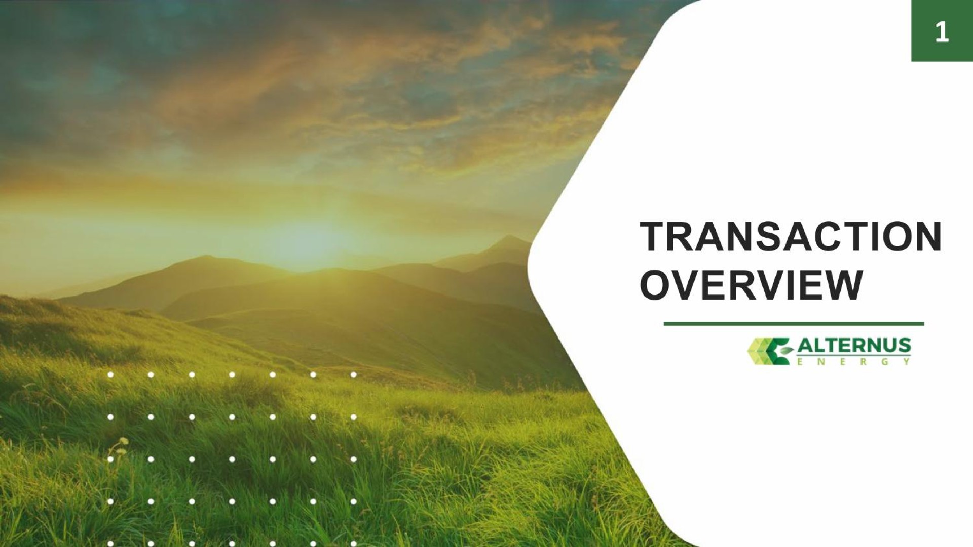 transaction overview | Alternus Energy