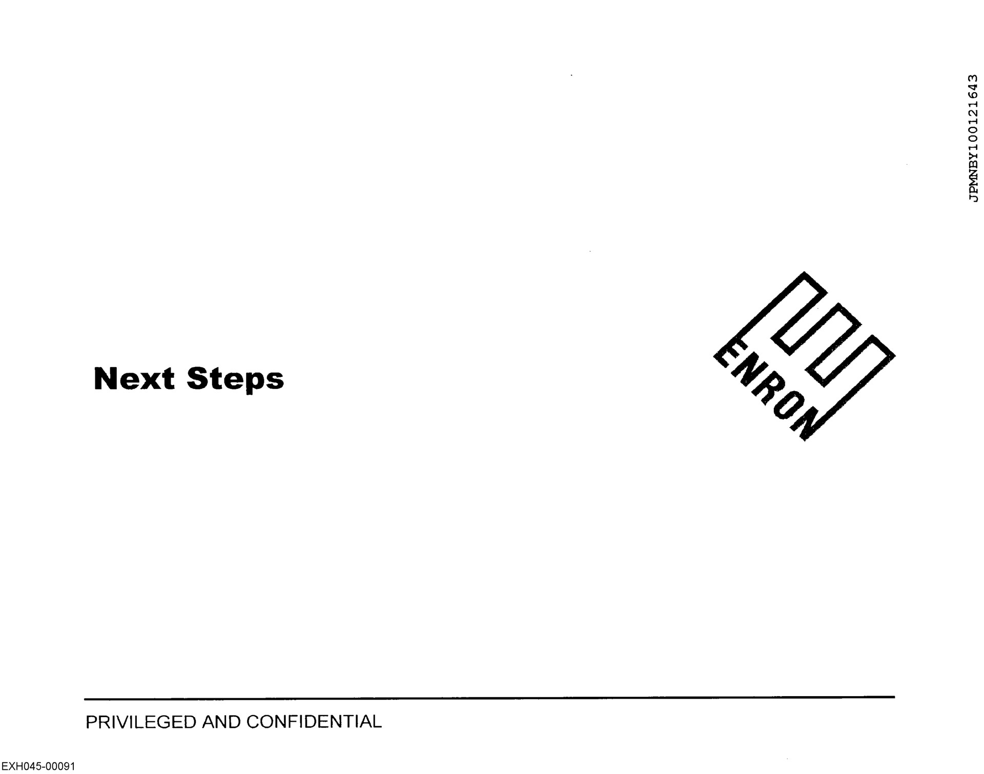 next steps | Enron
