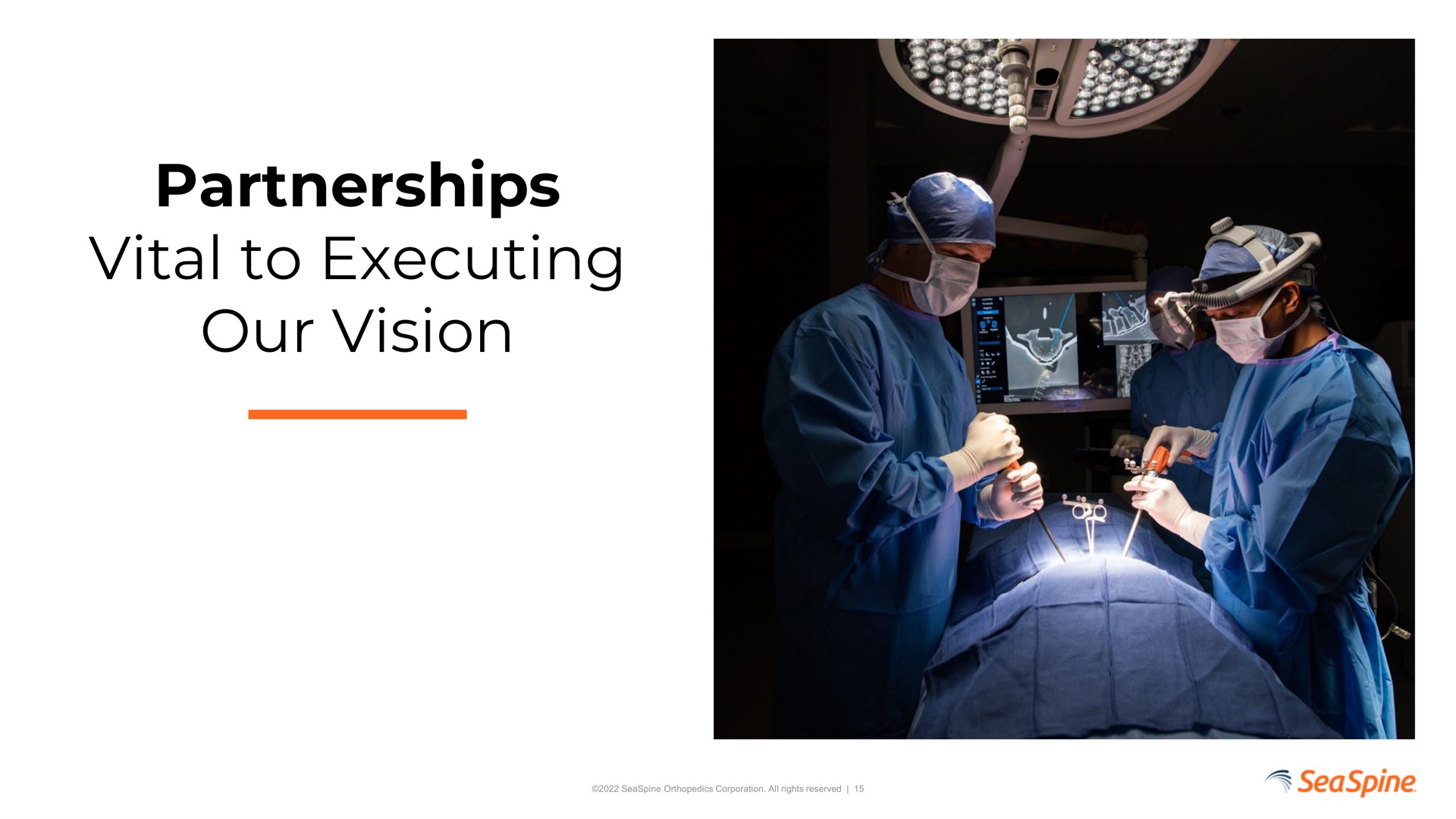 partnerships vital to executing our vision | SeaSpine