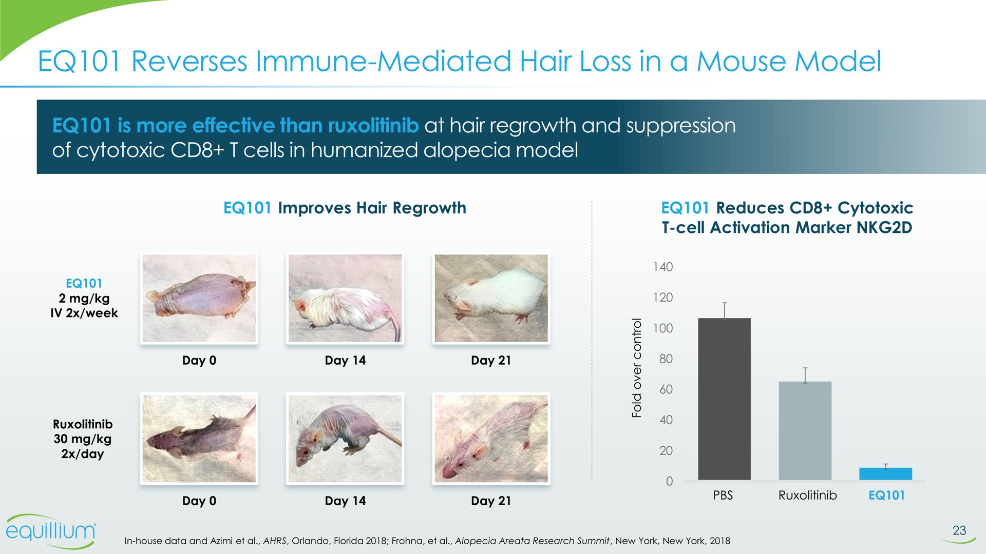 reverses immune mediated hair loss in a mouse model mediated | Equillium