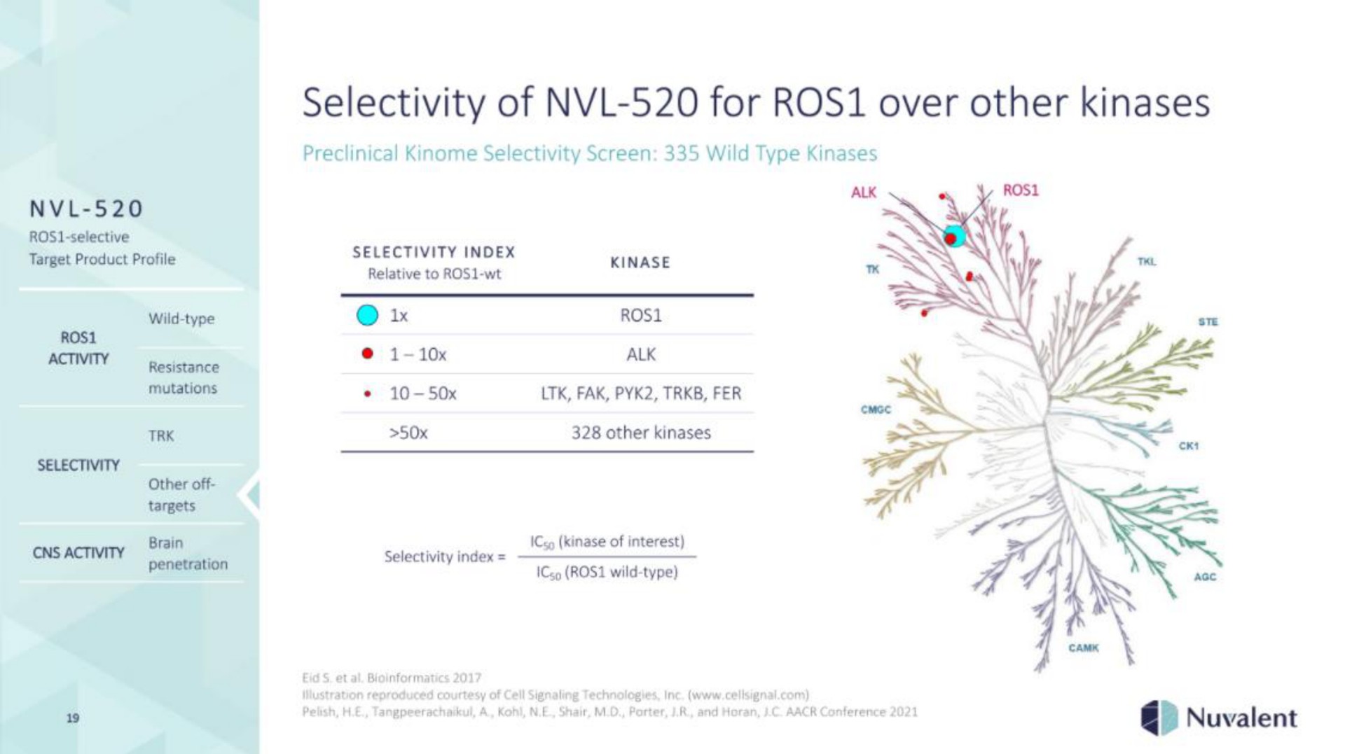selectivity of for over other kinases | Nuvalent