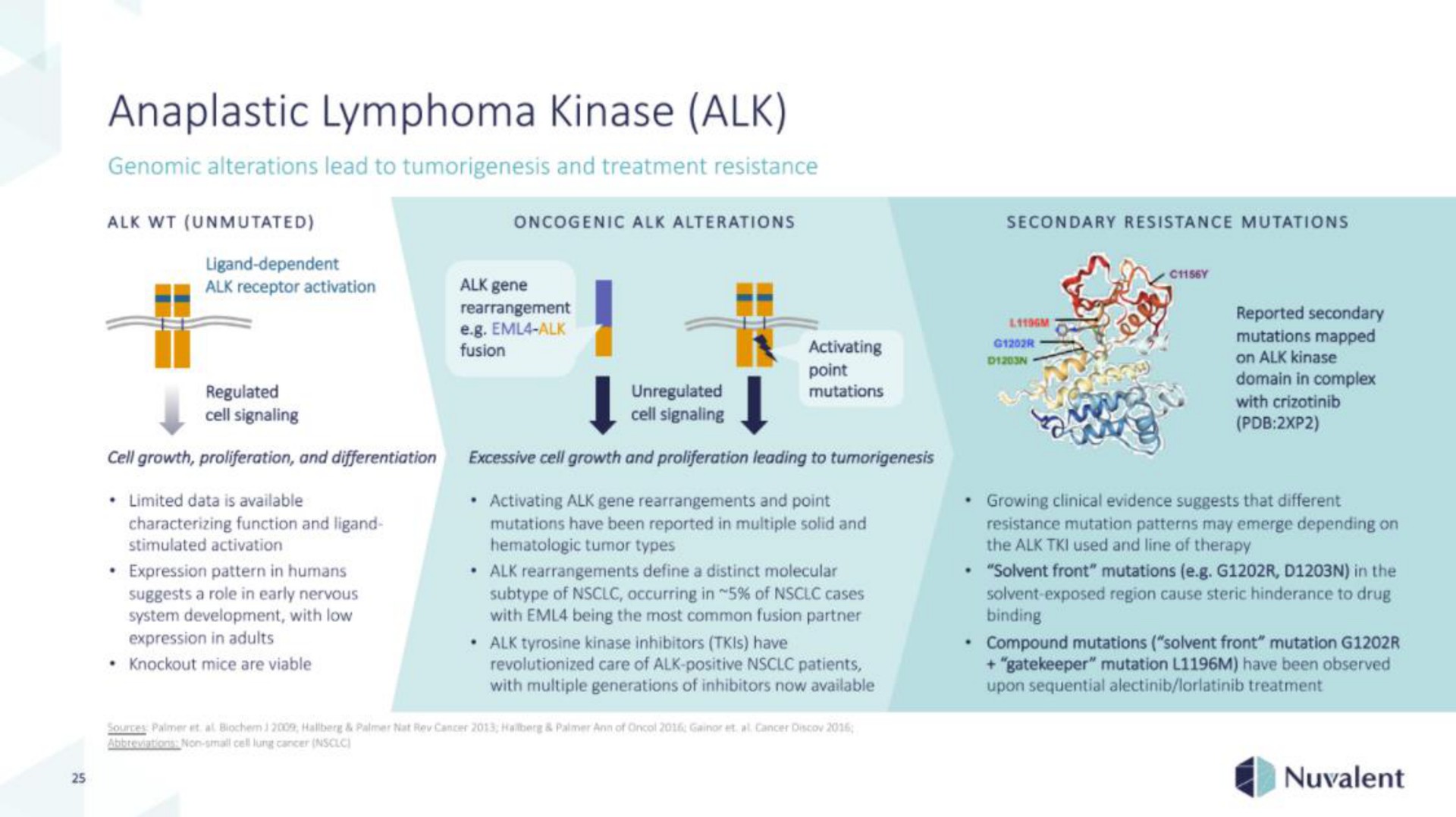 anaplastic lymphoma kinase alk | Nuvalent