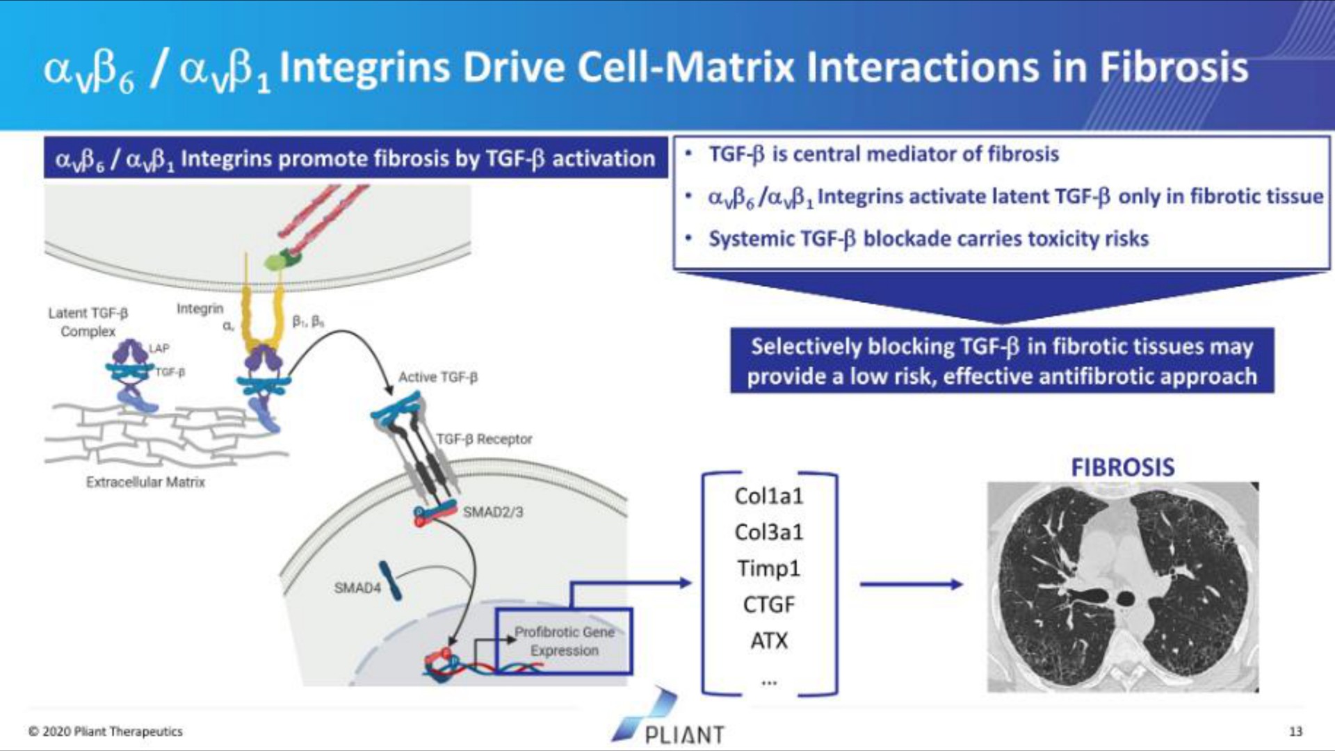 a drive cell matrix interactions in fibrosis | Pilant Therapeutics