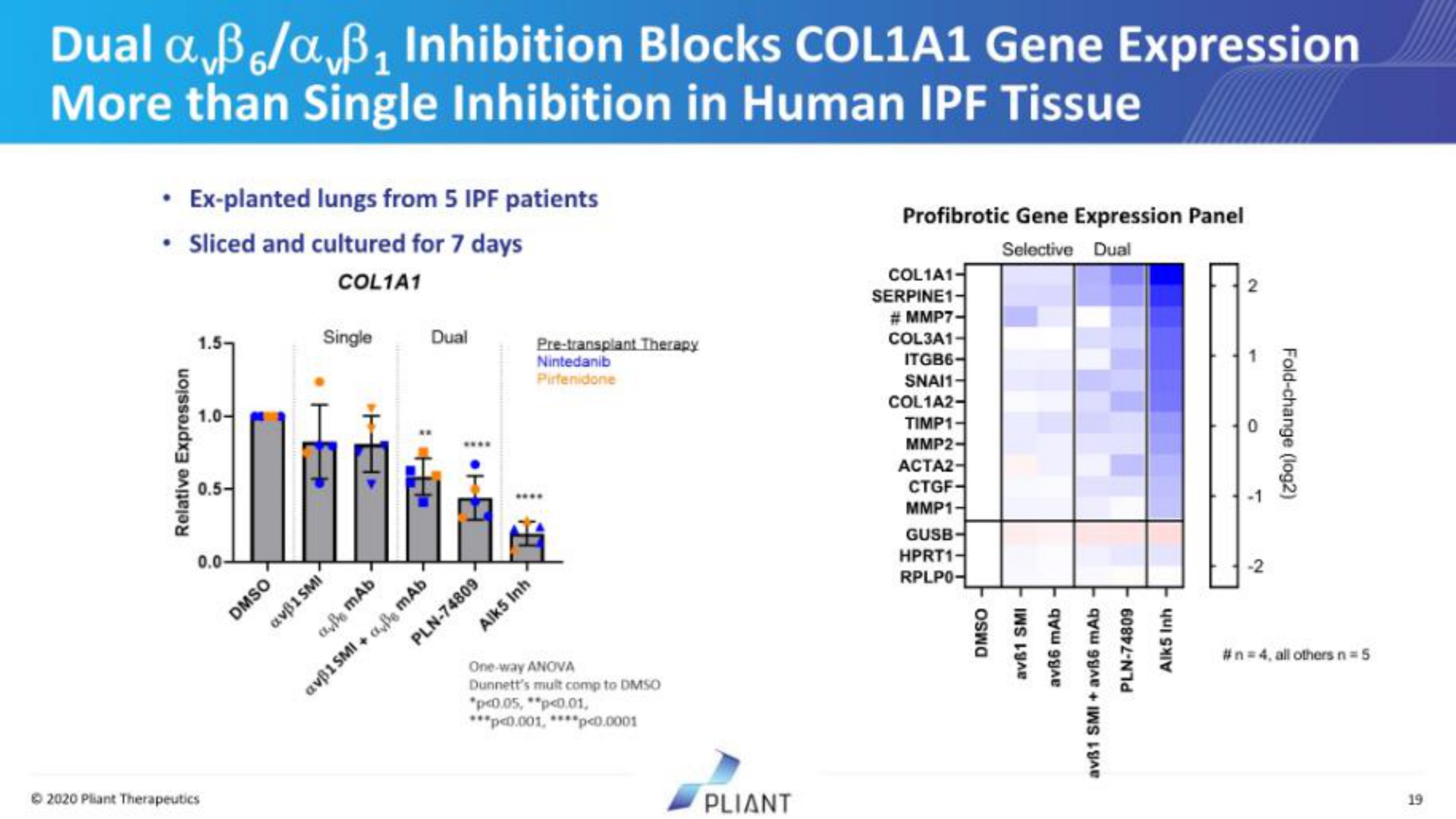 dual a a inhibition blocks col a gene expression more than single inhibition in human tissue | Pilant Therapeutics