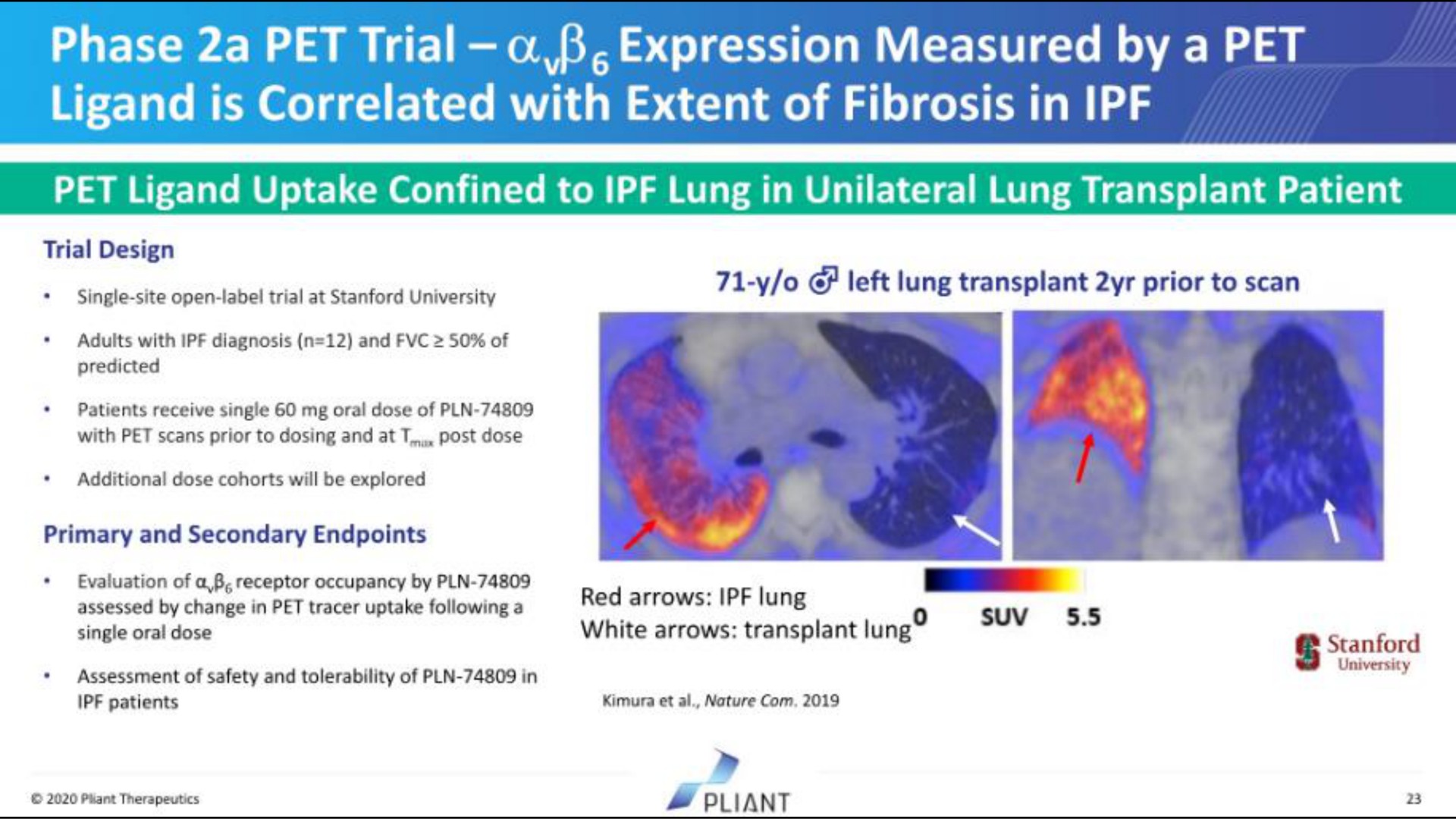 phase a pet trial a expression measured by a pet is correlated with extent of fibrosis in a | Pilant Therapeutics