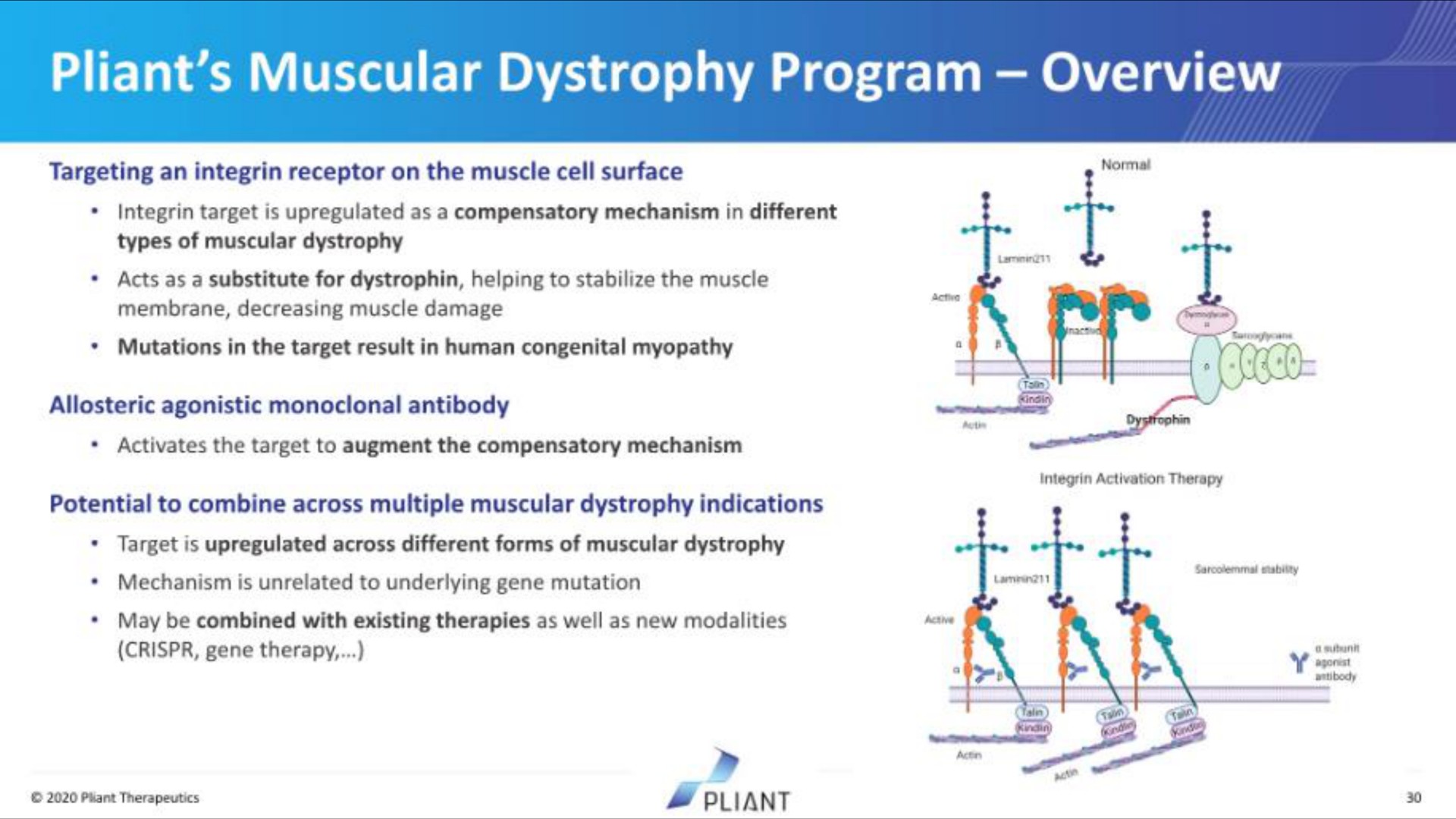 pliant muscular dystrophy program overview | Pilant Therapeutics