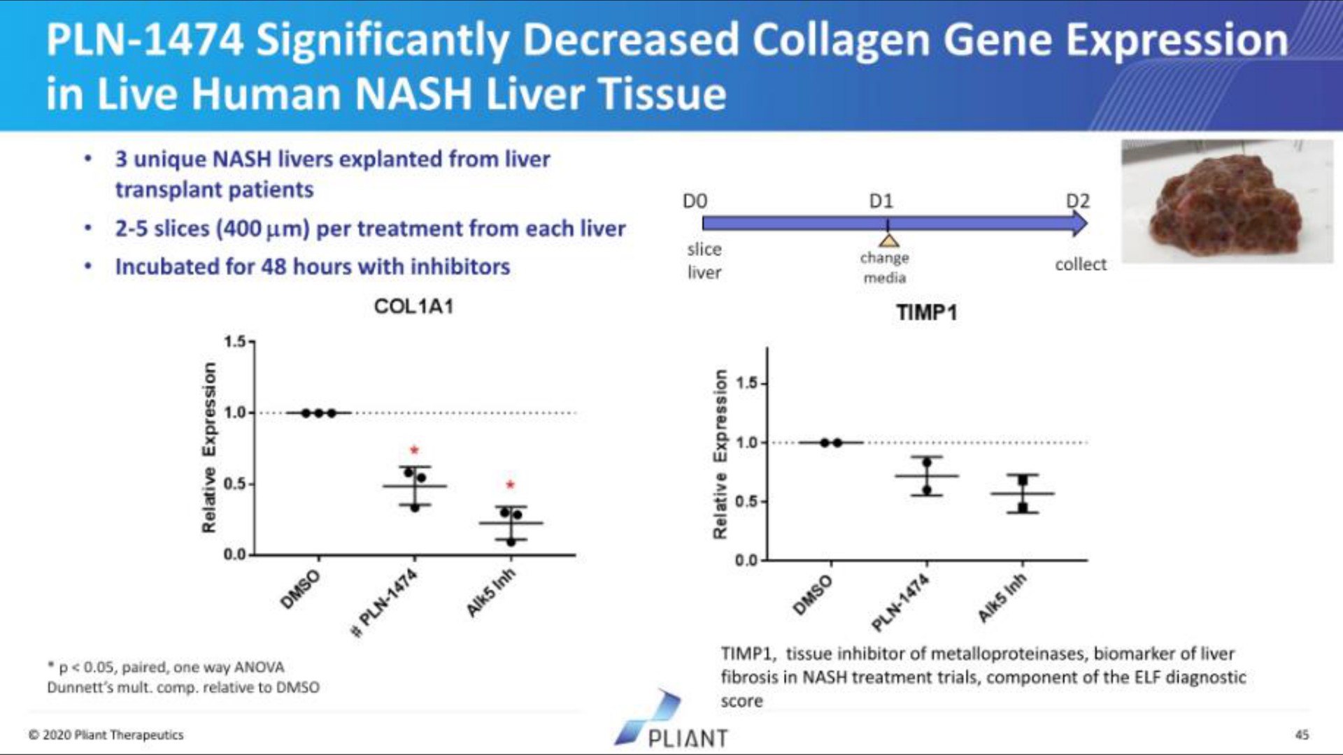 significantly decreased collagen gene expression | Pilant Therapeutics