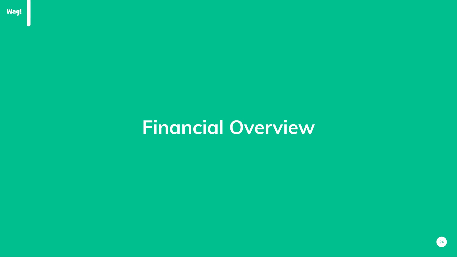 financial overview | Wag Labs