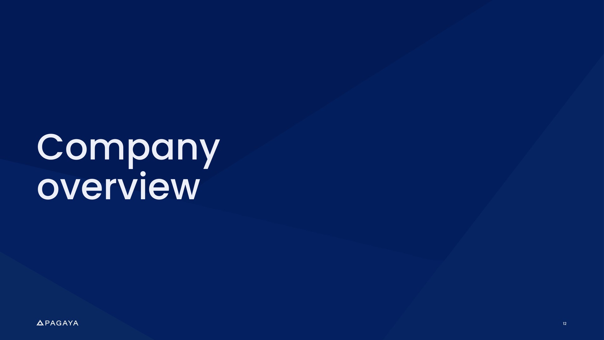 company overview | Pagaya