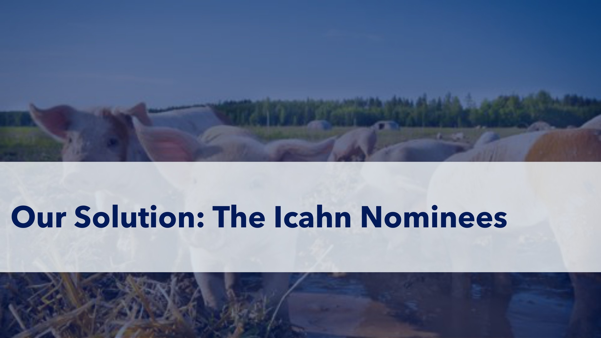 our solution the nominees | Icahn Enterprises
