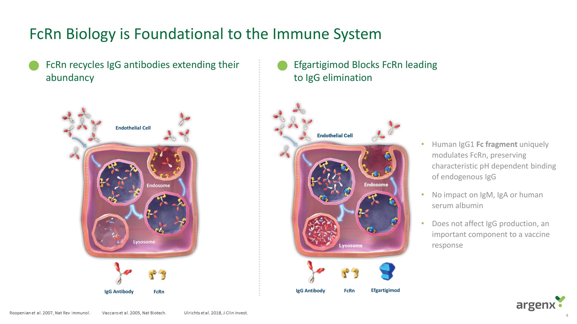 biology is foundational to the immune system | argenx SE