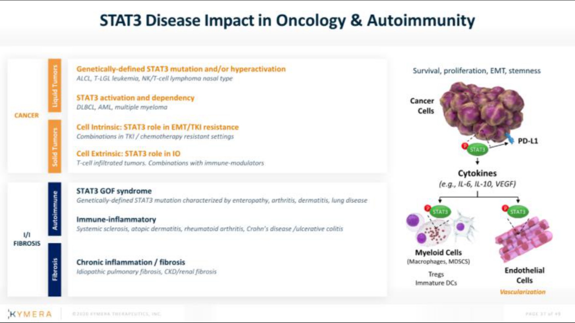 disease impact in oncology autoimmunity | Kymera