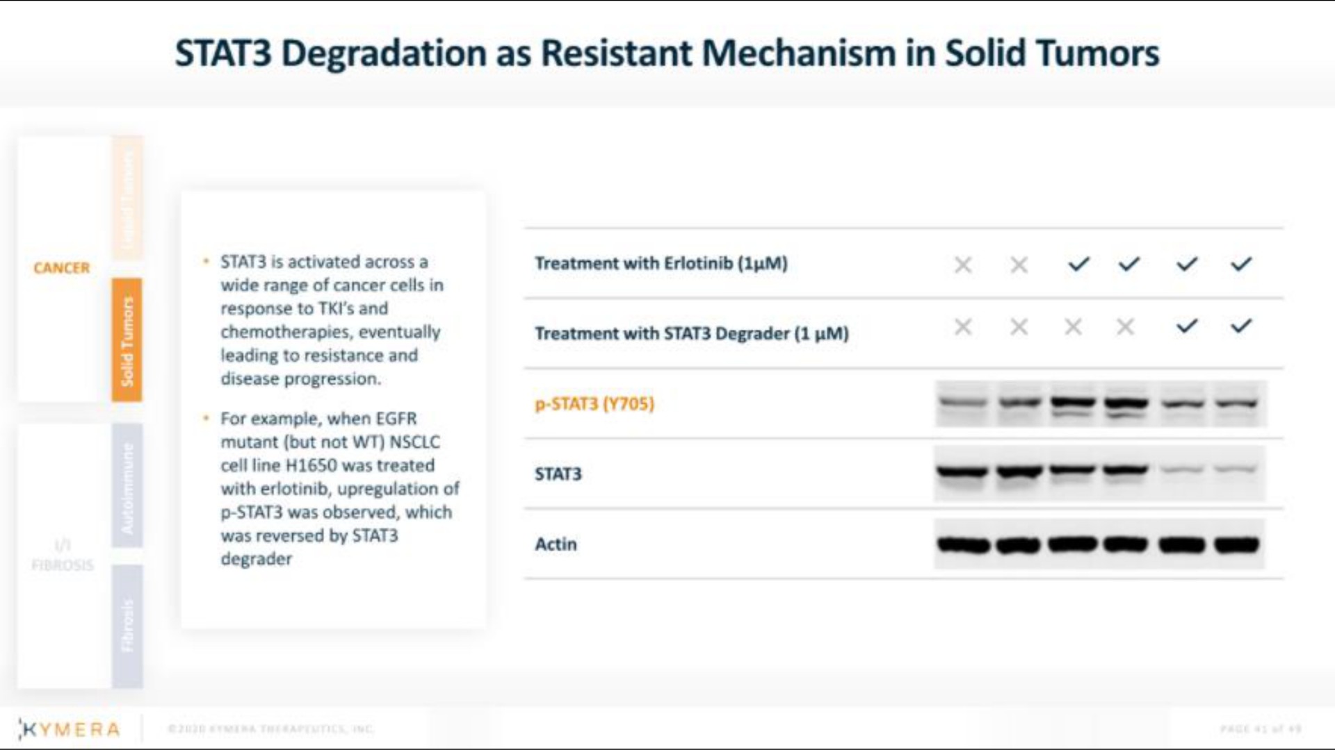 degradation as resistant mechanism in solid tumors | Kymera