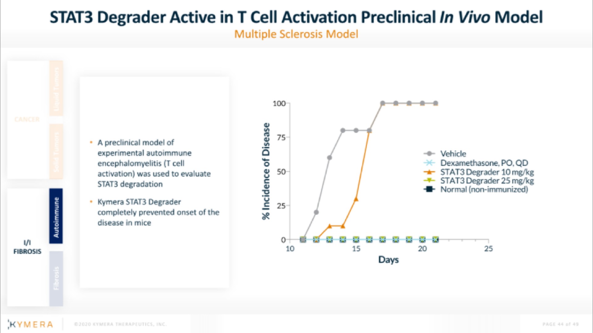 degrader active in cell activation preclinical in model mang | Kymera