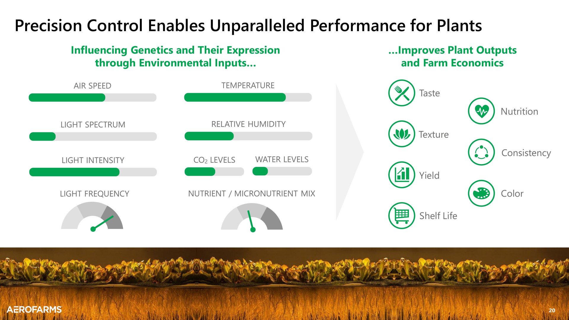 precision control enables unparalleled performance for plants | AeroFarms