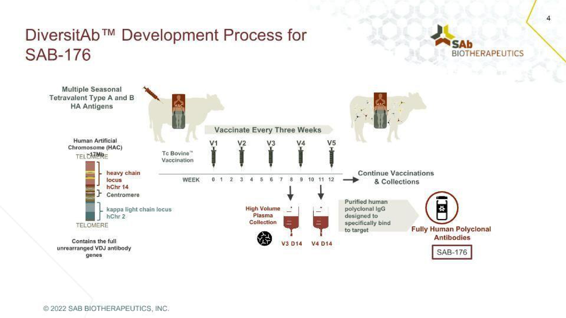 development process for | SAB Biotherapeutics