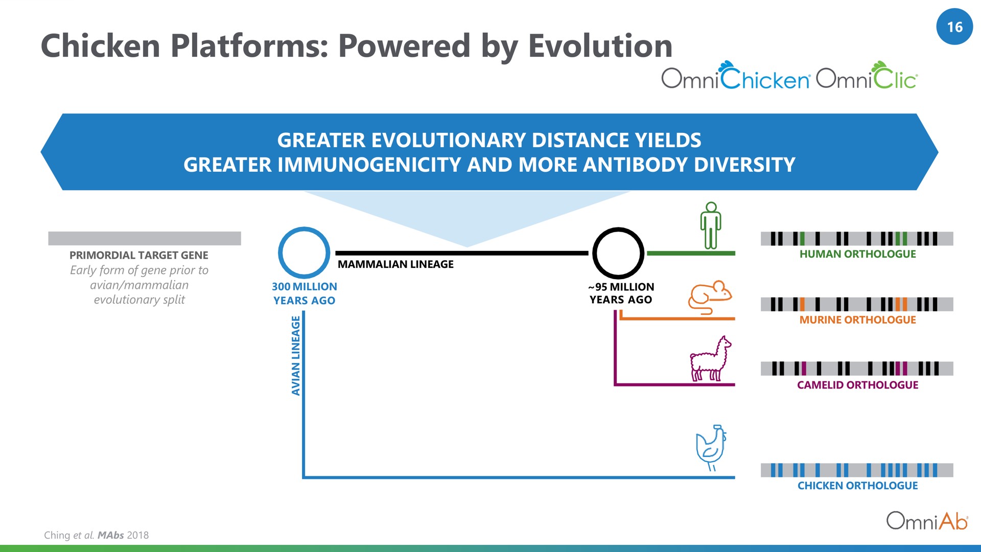 chicken platforms powered by evolution | OmniAb