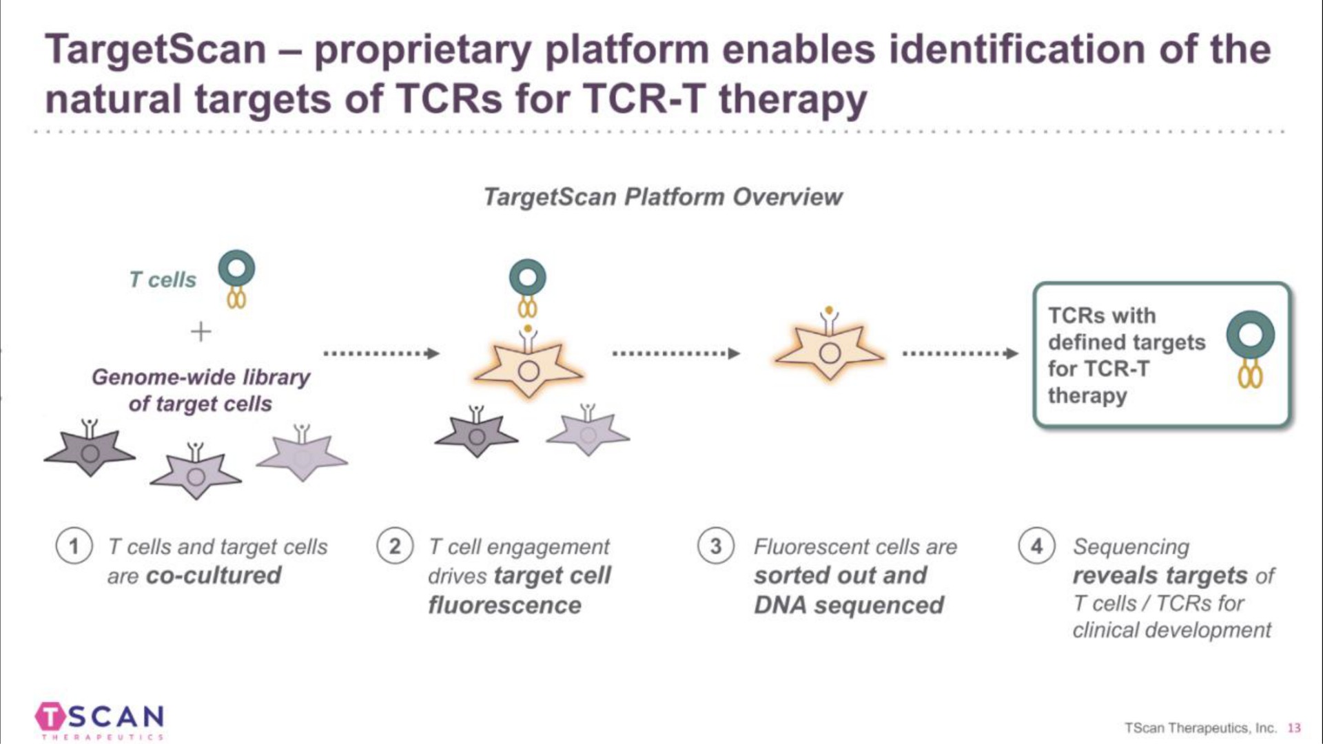 proprietary platform enables identification of the natural targets of for therapy defined targets | TScan Therapeutics