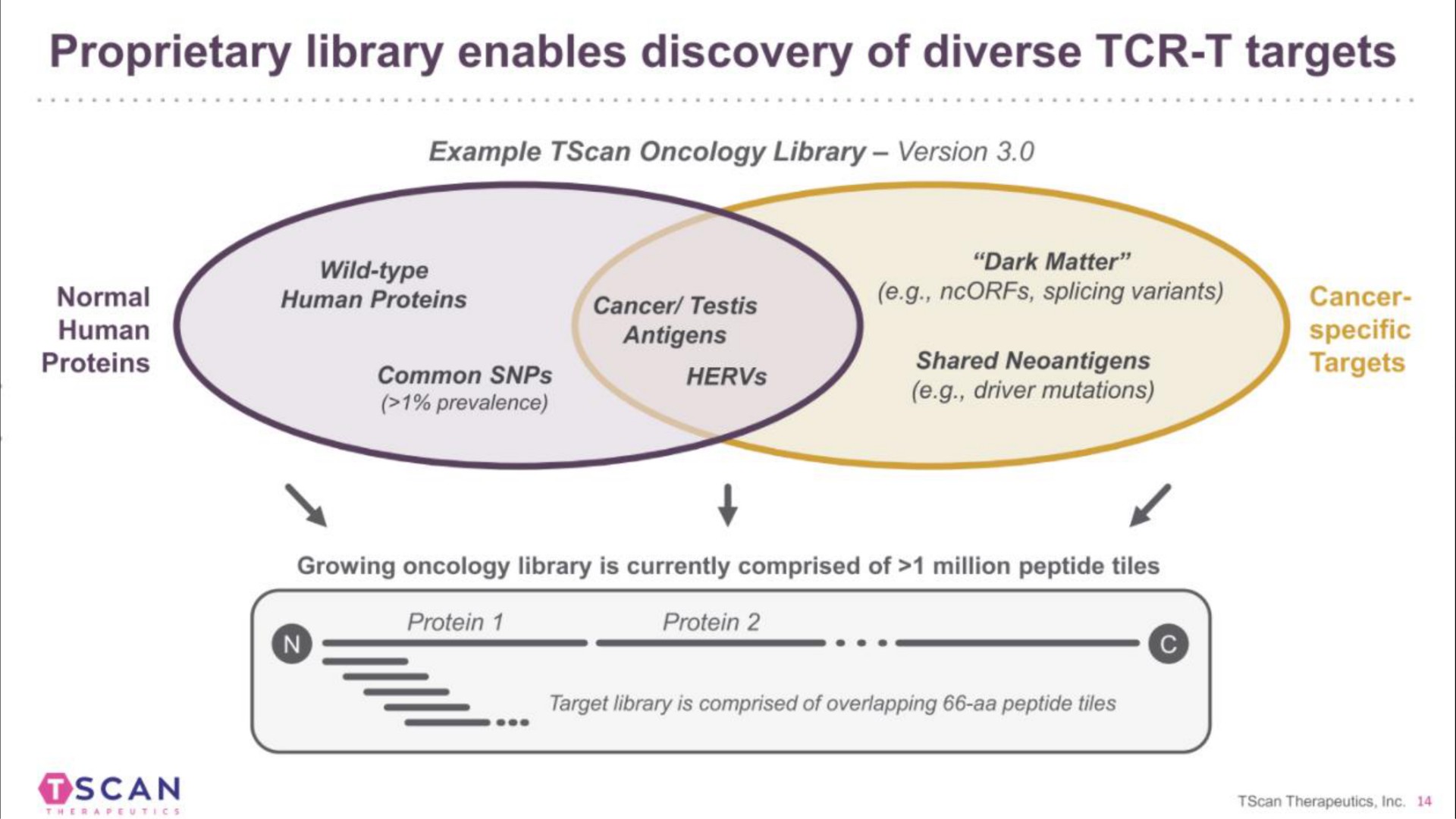 proprietary library enables discovery of diverse targets scan | TScan Therapeutics
