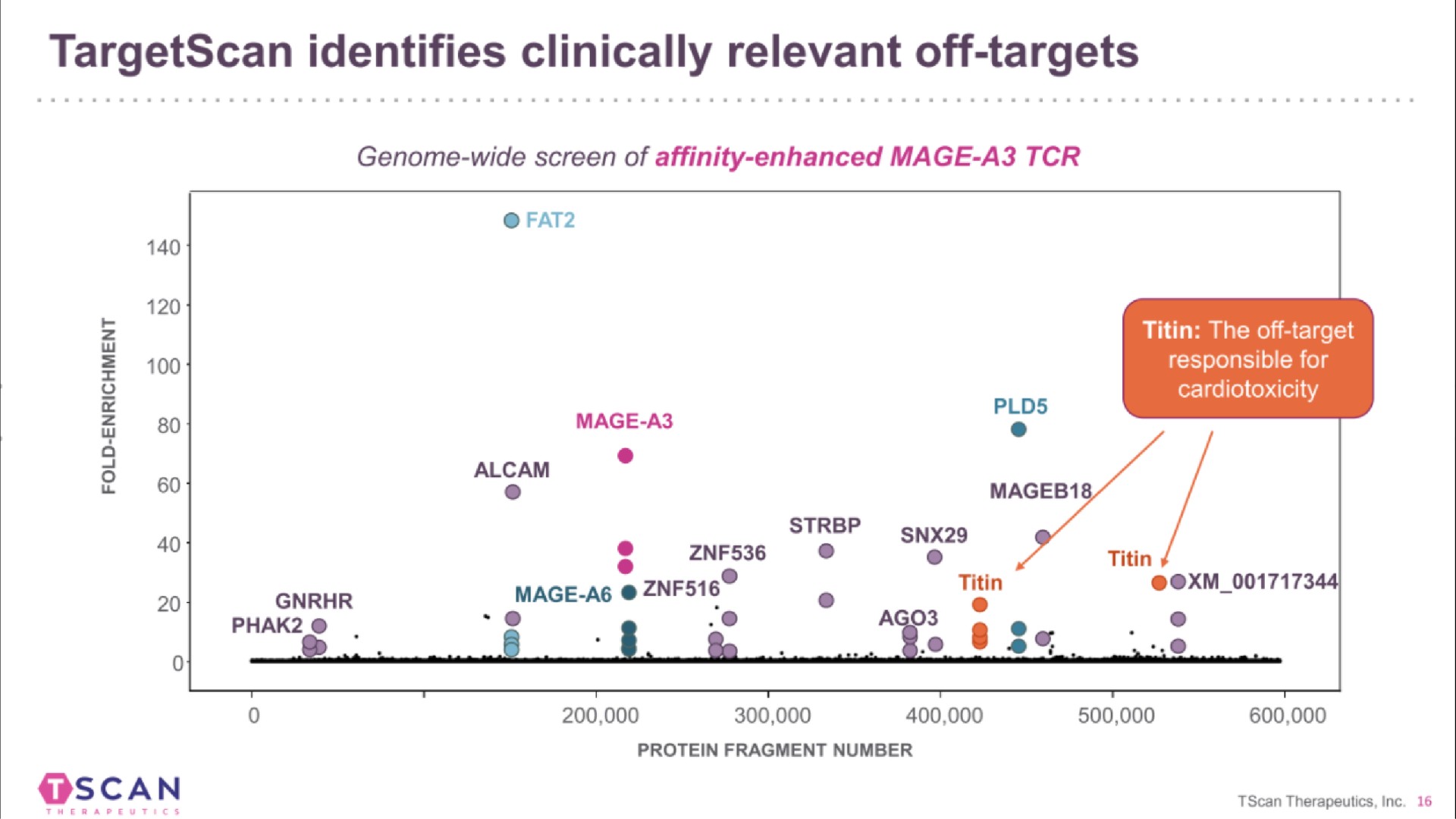 identifies clinically relevant off targets scan | TScan Therapeutics