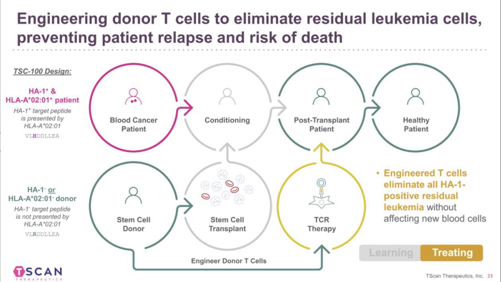 engineering donor cells to eliminate residual leukemia cells preventing patient relapse and risk of death scan a sok | TScan Therapeutics