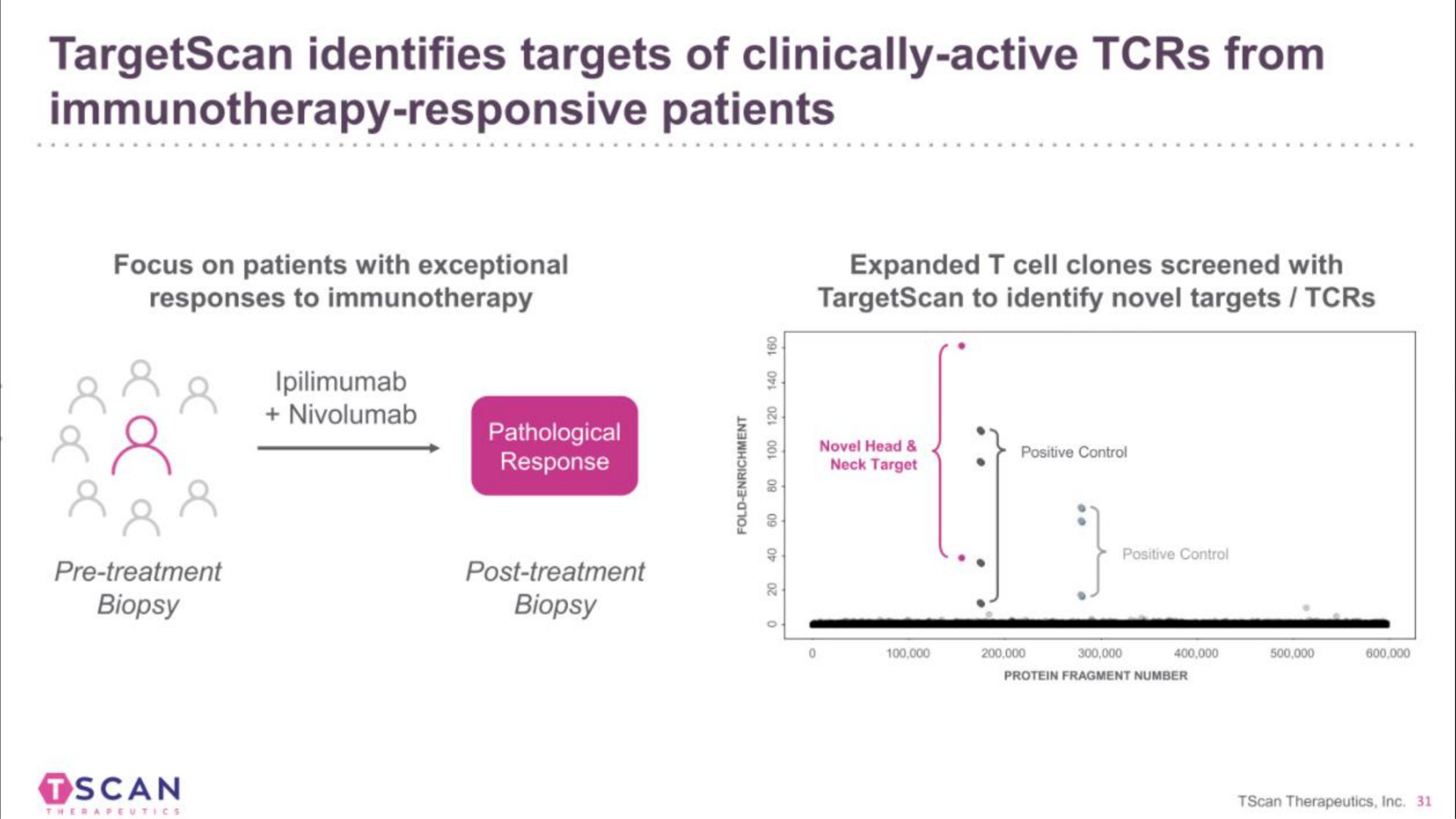 identifies targets of clinically active from responsive patients | TScan Therapeutics