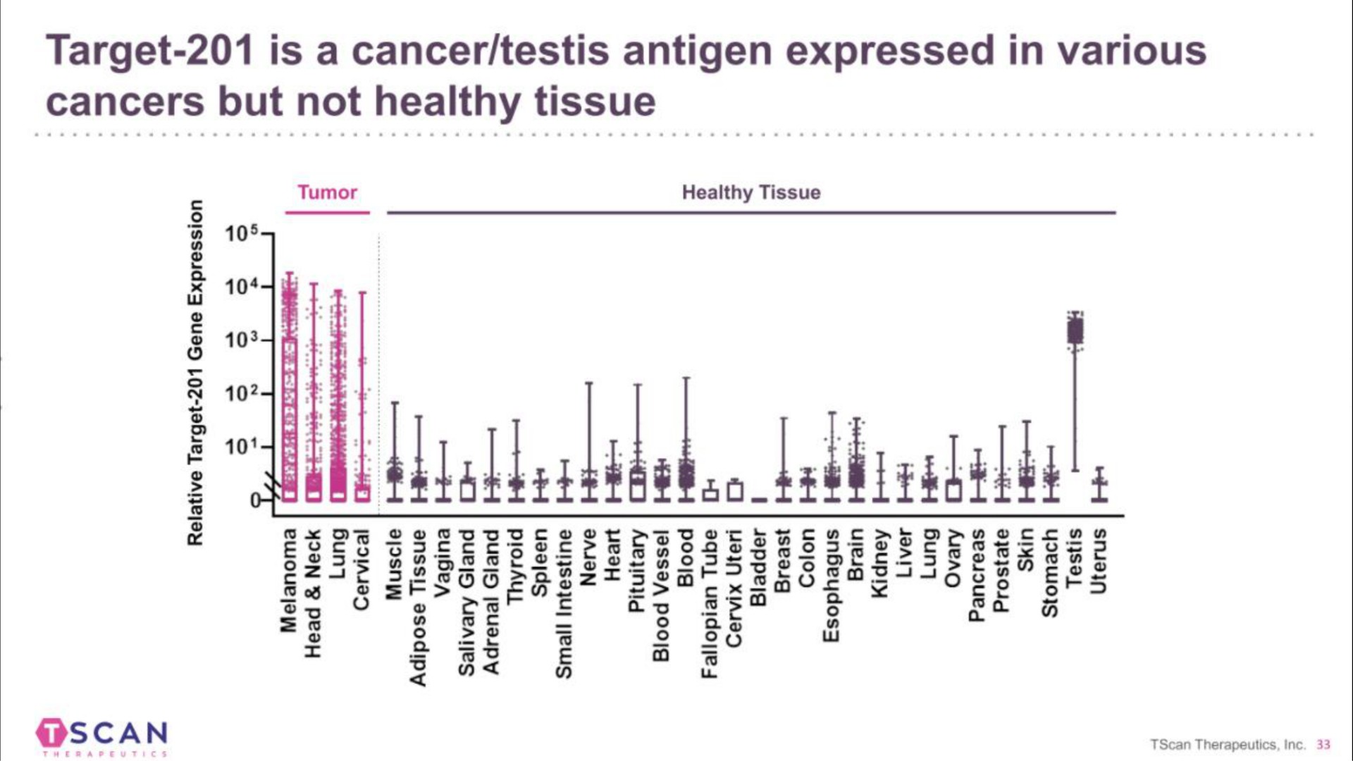 target is a cancer testis antigen expressed in various cancers but not healthy tissue scan | TScan Therapeutics
