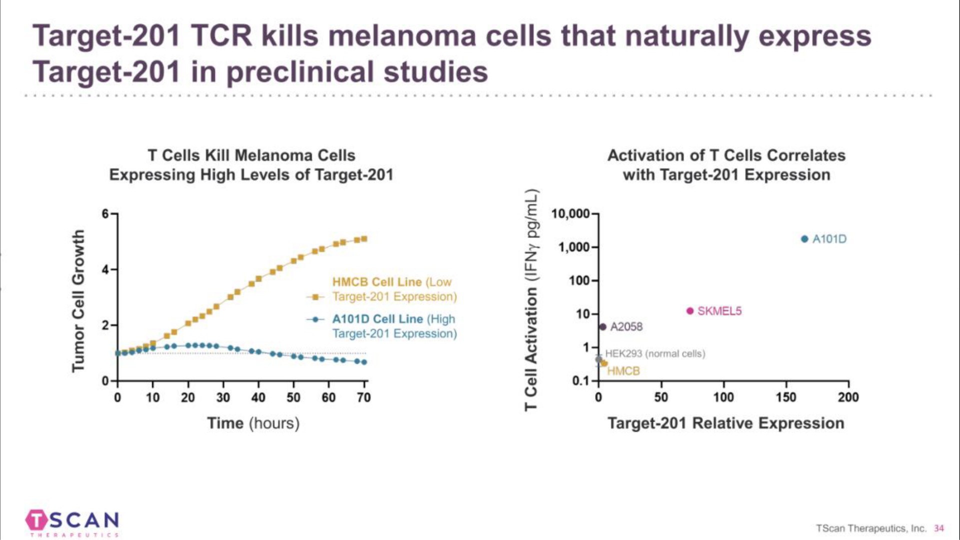 target kills melanoma cells that naturally express target in preclinical studies scan | TScan Therapeutics