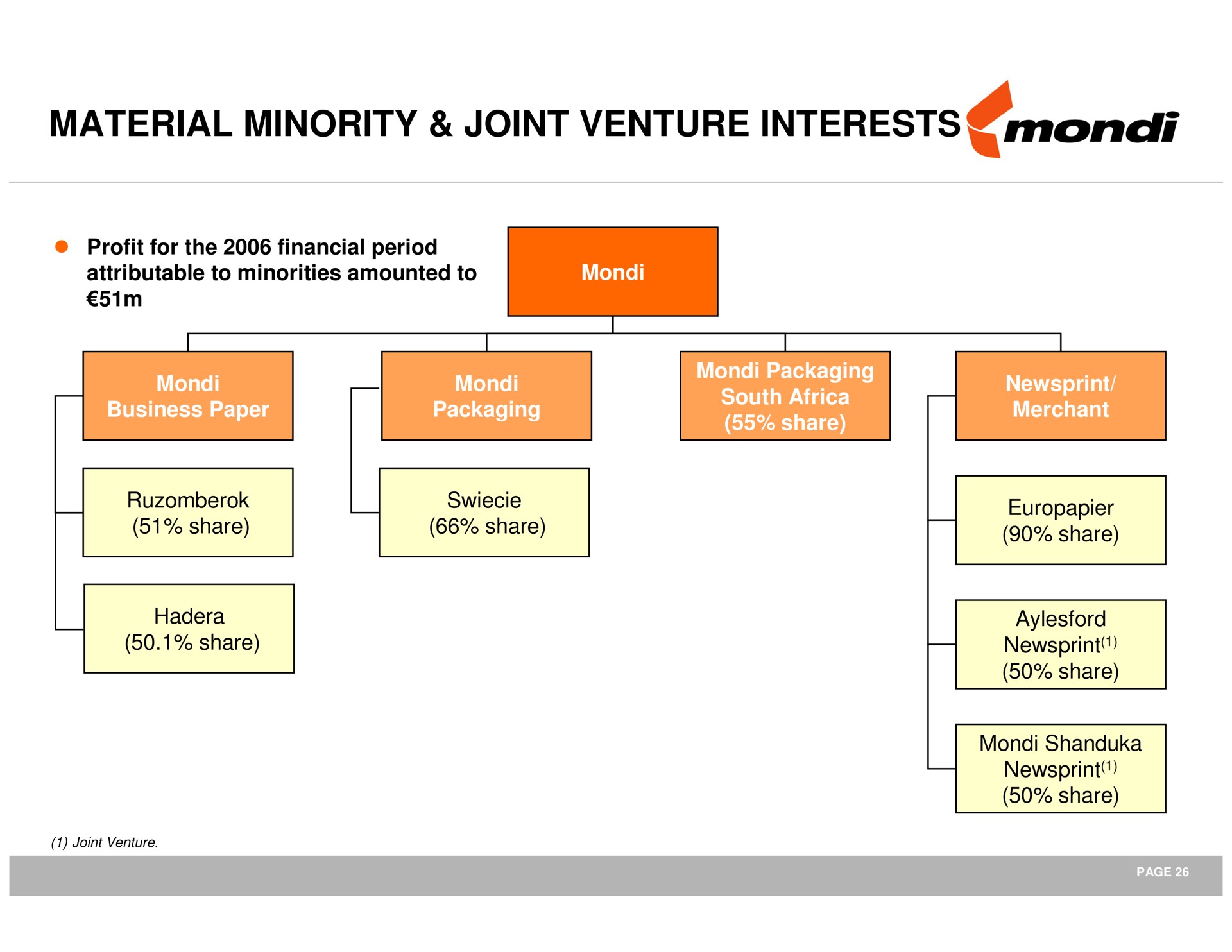 material minority joint venture interests | Mondi