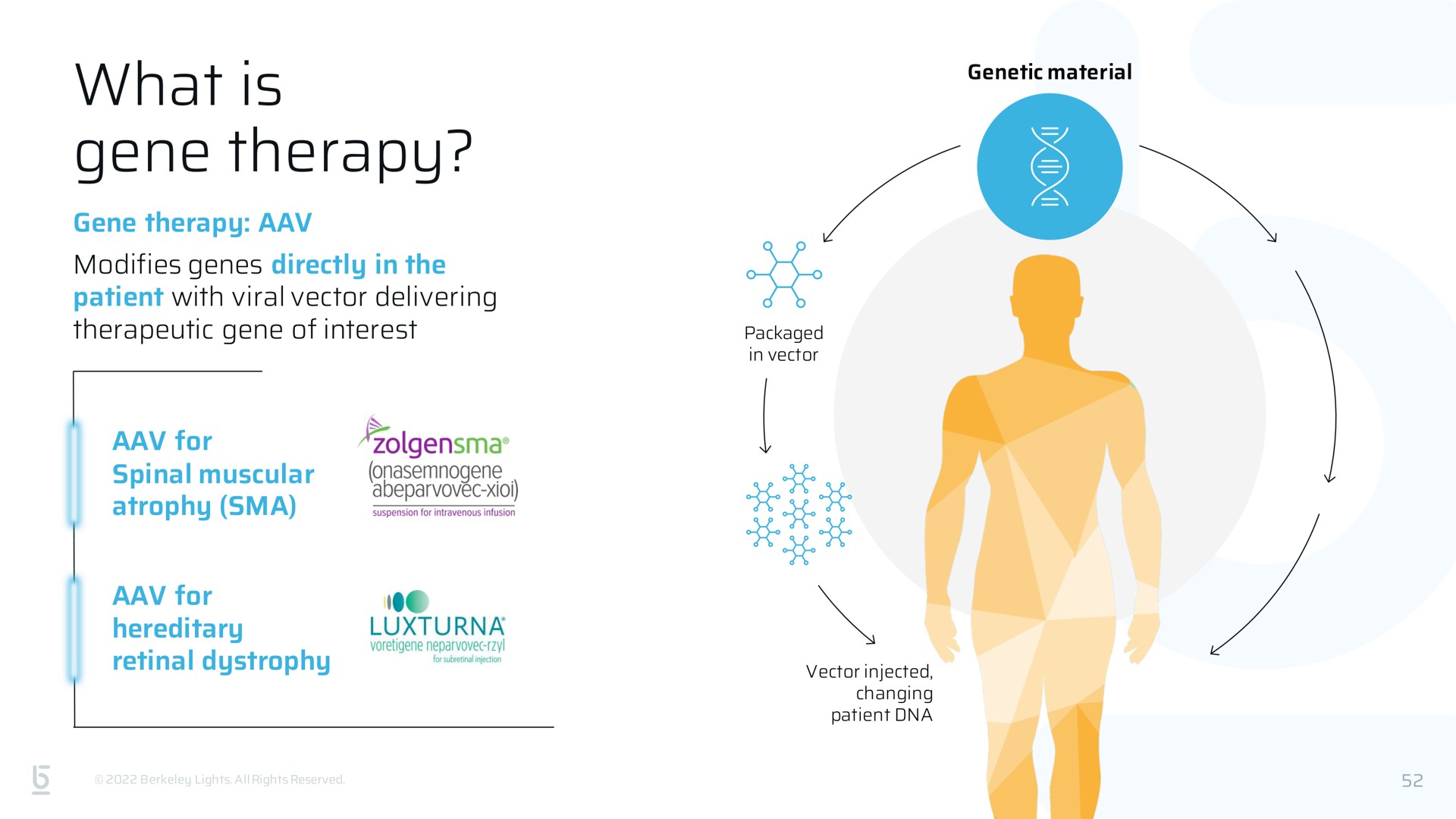 what is gene therapy | Berkeley Lights