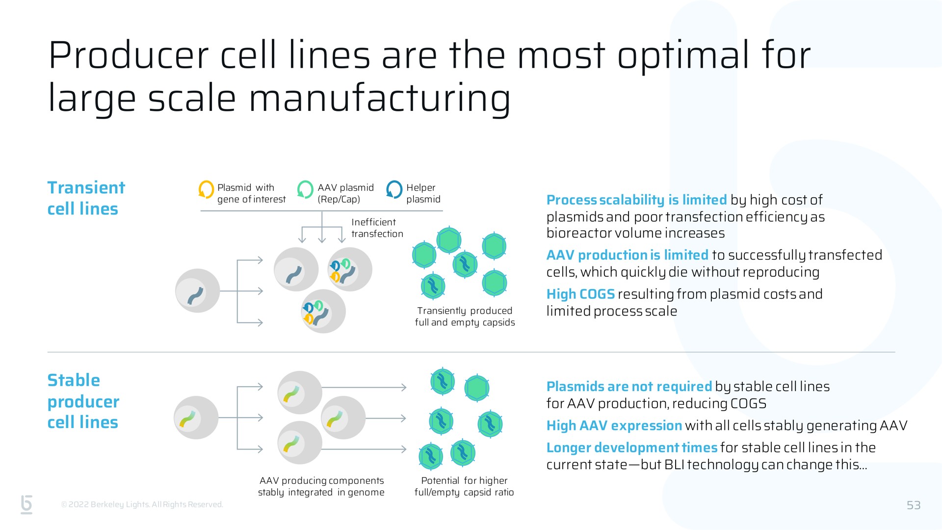 producer cell lines are the most optimal for large scale manufacturing | Berkeley Lights