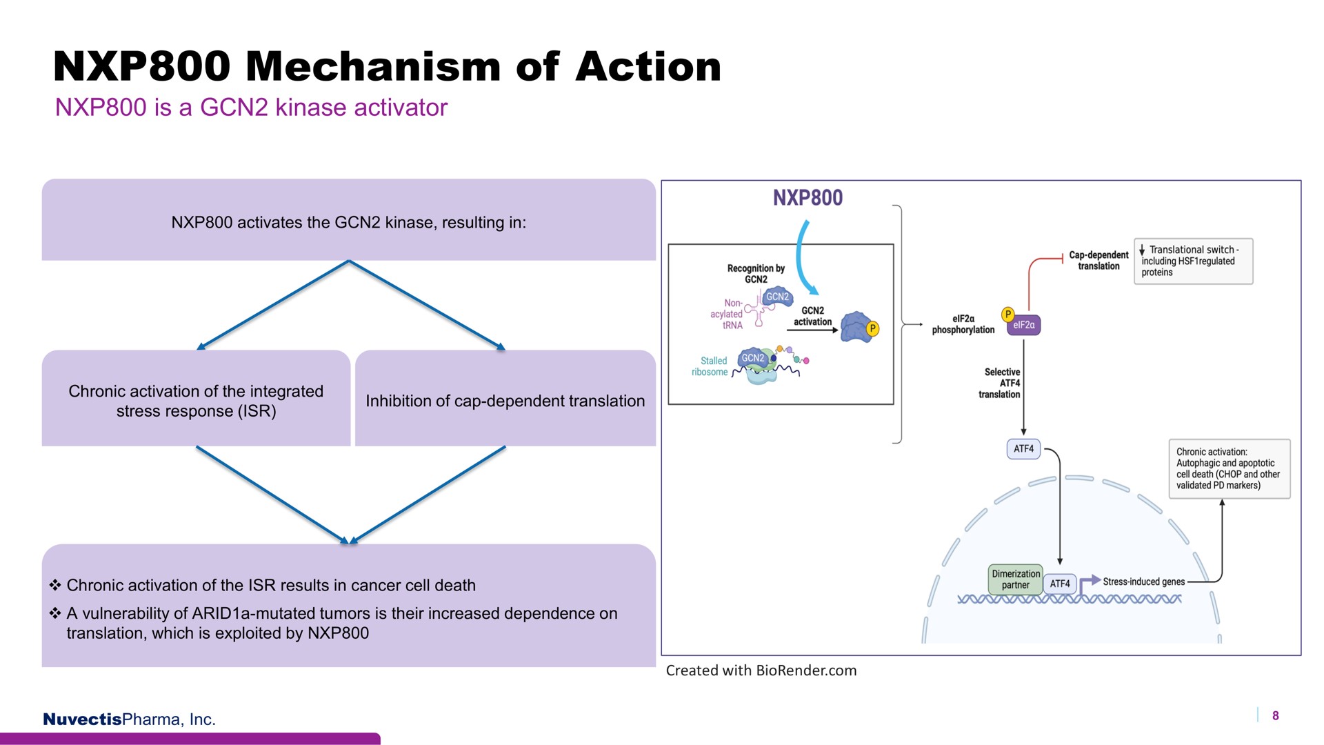 mechanism of action | Nuvectis Pharma