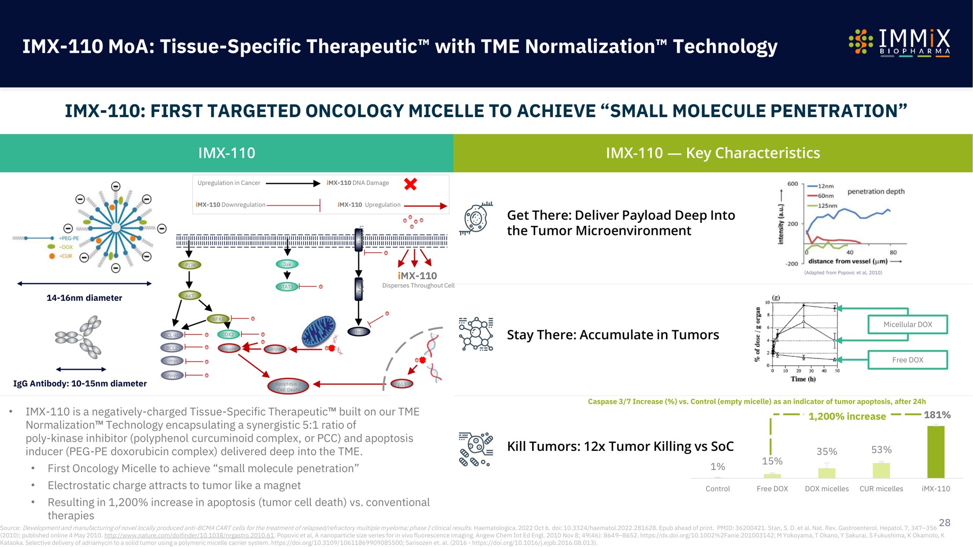 tissue specific therapeutic with normalization technology first targeted oncology micelle to achieve small molecule penetration a | Immix Biopharma