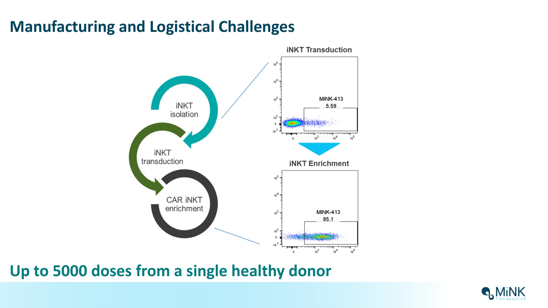 manufacturing and logistical challenges up to doses from a single healthy donor mink | Mink Therapeutics